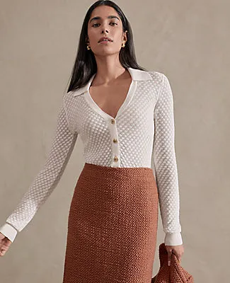 Ann Taylor Pointelle Polo Sweater sold by Ann Taylor product image thumbnail 4