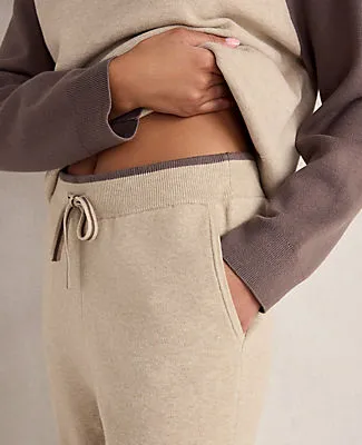 Ann Taylor Haven Well Within Viscose Blend Jogger sold by Ann Taylor product image thumbnail 2