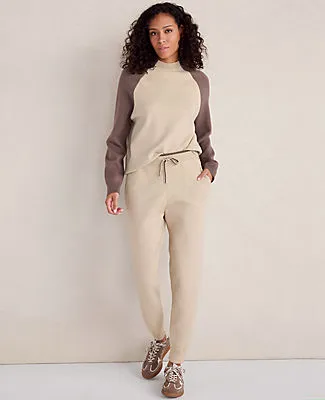 Ann Taylor Haven Well Within Viscose Blend Jogger sold by Ann Taylor product image thumbnail 3