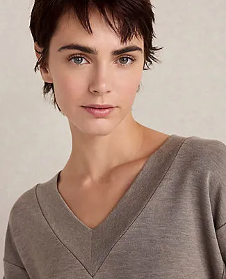 Ann Taylor Haven Well Within Soft Knit V-Neck Top sold by Ann Taylor product image thumbnail 2