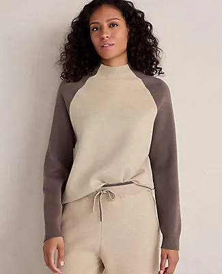 Ann Taylor Haven Well Within Viscose Blend Colorblock Crewneck sold by Ann Taylor