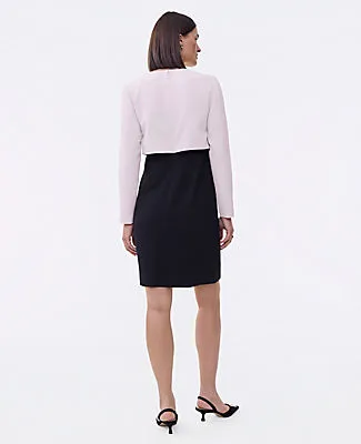 Ann Taylor Petite Colorblock Crew Neck Shift Dress sold by Ann Taylor product image thumbnail 2