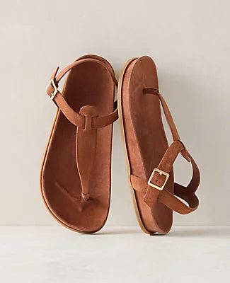 Ann Taylor Haven Well Within Suede Thong Sandals sold by Ann Taylor