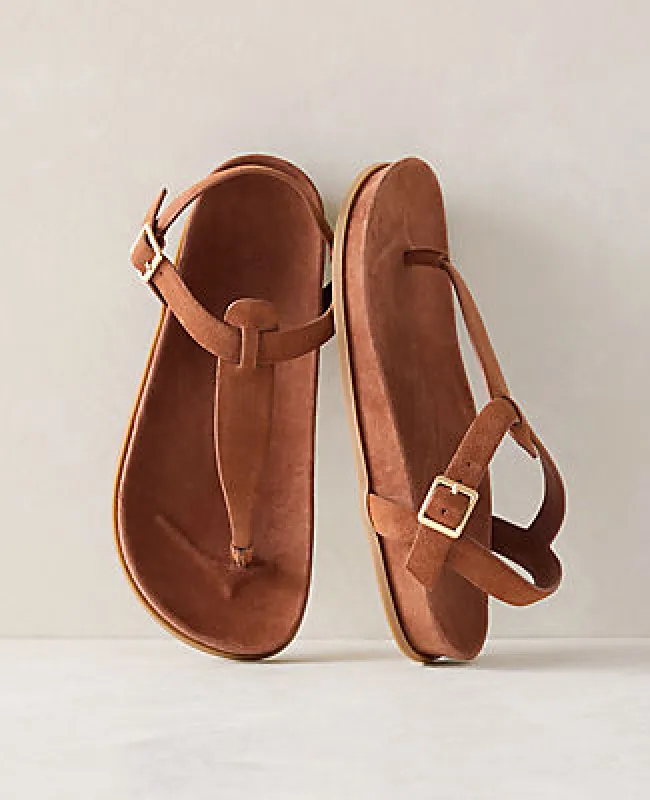Ann Taylor Haven Well Within Suede Thong Sandals sold by Ann Taylor