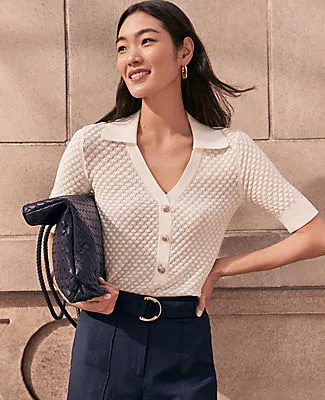 Ann Taylor Petite Pointelle Polo Sweater sold by Ann Taylor product image thumbnail 4