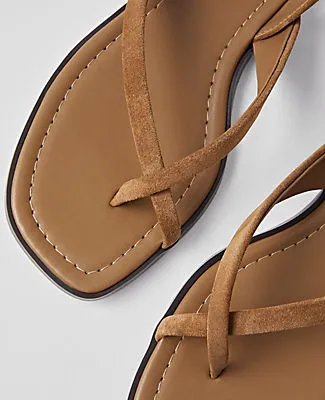 Ann Taylor Weekend Collection Suede Buckled Ankle Strap Sandals sold by Ann Taylor product image thumbnail 2