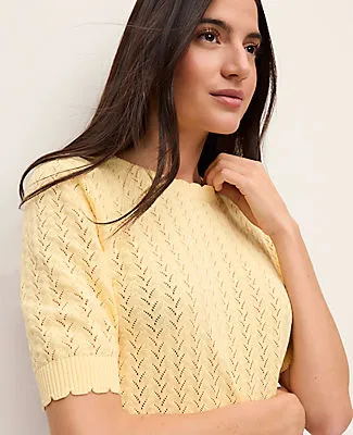Ann Taylor Petite Pointelle Sweater Tee sold by Ann Taylor