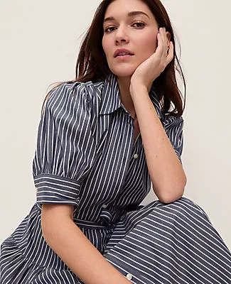 Ann Taylor Petite Striped Shirtdress sold by Ann Taylor product image thumbnail 4