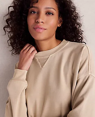 Ann Taylor Haven Well Within Garment-Dyed Organic Cotton Terry Crewneck sold by Ann Taylor product image thumbnail 2