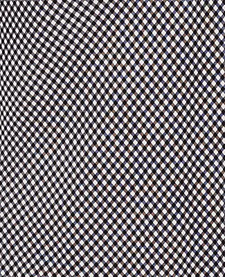 Ann Taylor Petite Gingham Bias Midi Slip Skirt sold by Ann Taylor product image thumbnail 5