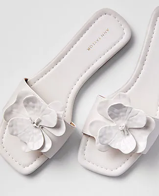 Ann Taylor Leather Flower Embellished Sandal sold by Ann Taylor product image thumbnail 2