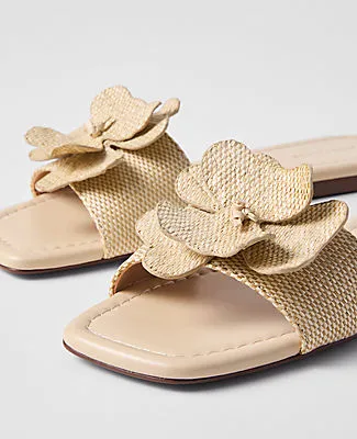 Ann Taylor Straw Flower Embellished Sandal sold by Ann Taylor product image thumbnail 2