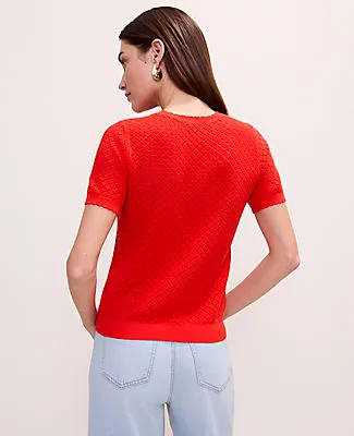 Ann Taylor Pointelle Modern Sweater Tee sold by Ann Taylor product image thumbnail 2
