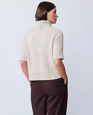 Ann Taylor Turtleneck Elbow Sleeve Sweater Tee sold by Ann Taylor product image thumbnail 2