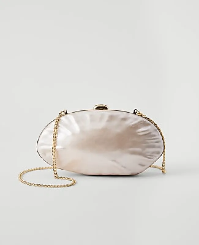 Ann Taylor Pearlized Crossbody Bag made by Ann Taylor