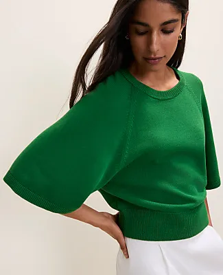 Ann Taylor Raglan Crew Neck Sweater sold by Ann Taylor product image thumbnail 3