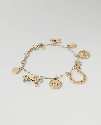 Ann Taylor Horseshoe Charm Bracelet sold by Ann Taylor