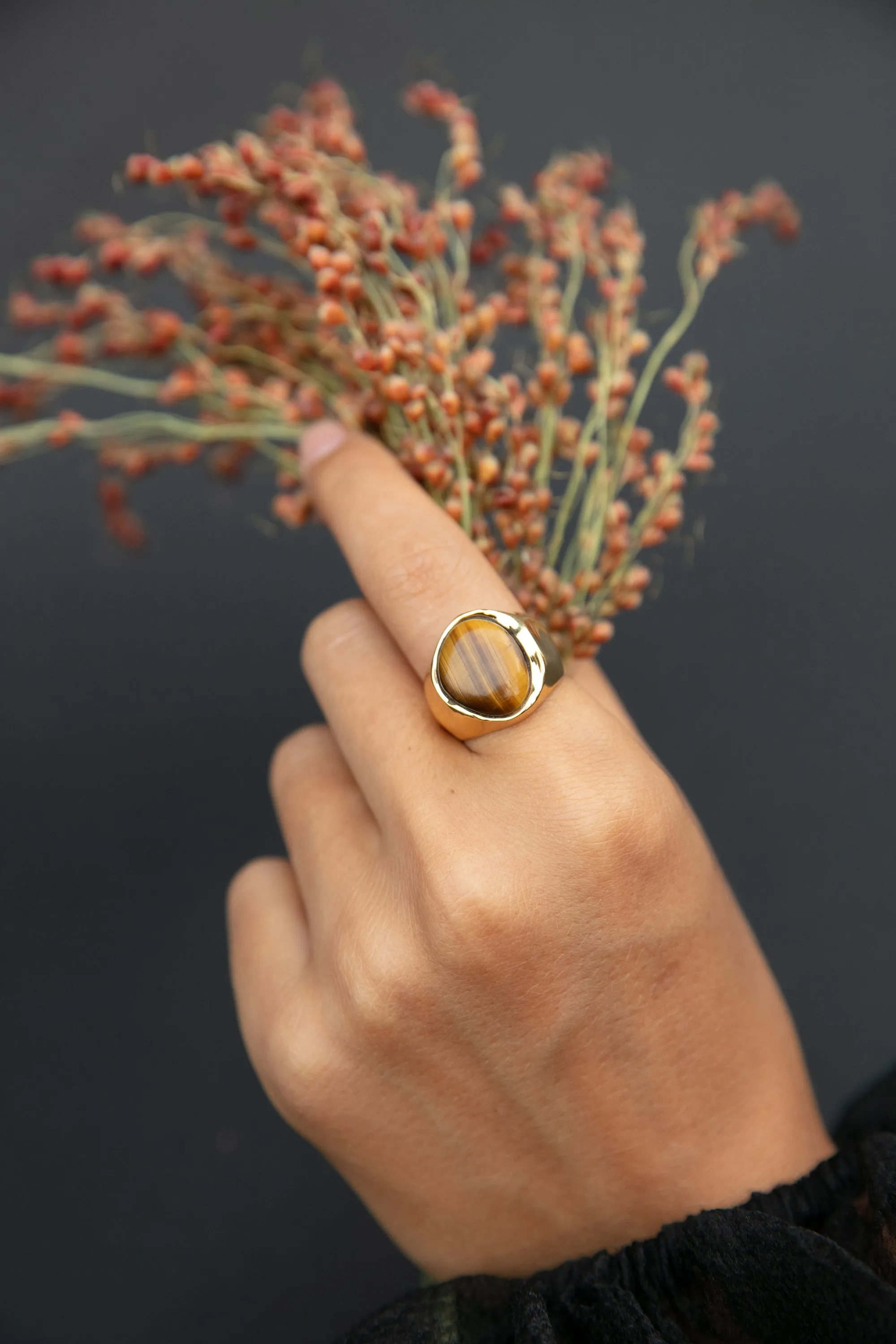 Large Asymmetrical Tiger's Eye Signet Ring sold by Anna Beck product image thumbnail 4