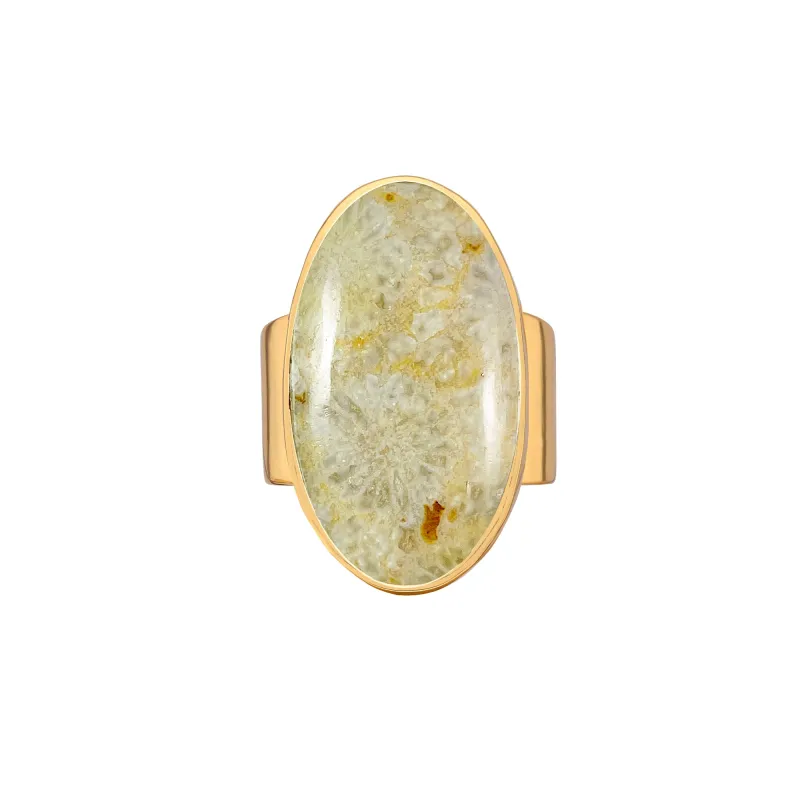Fossil Coral Ring sold by Anna Beck