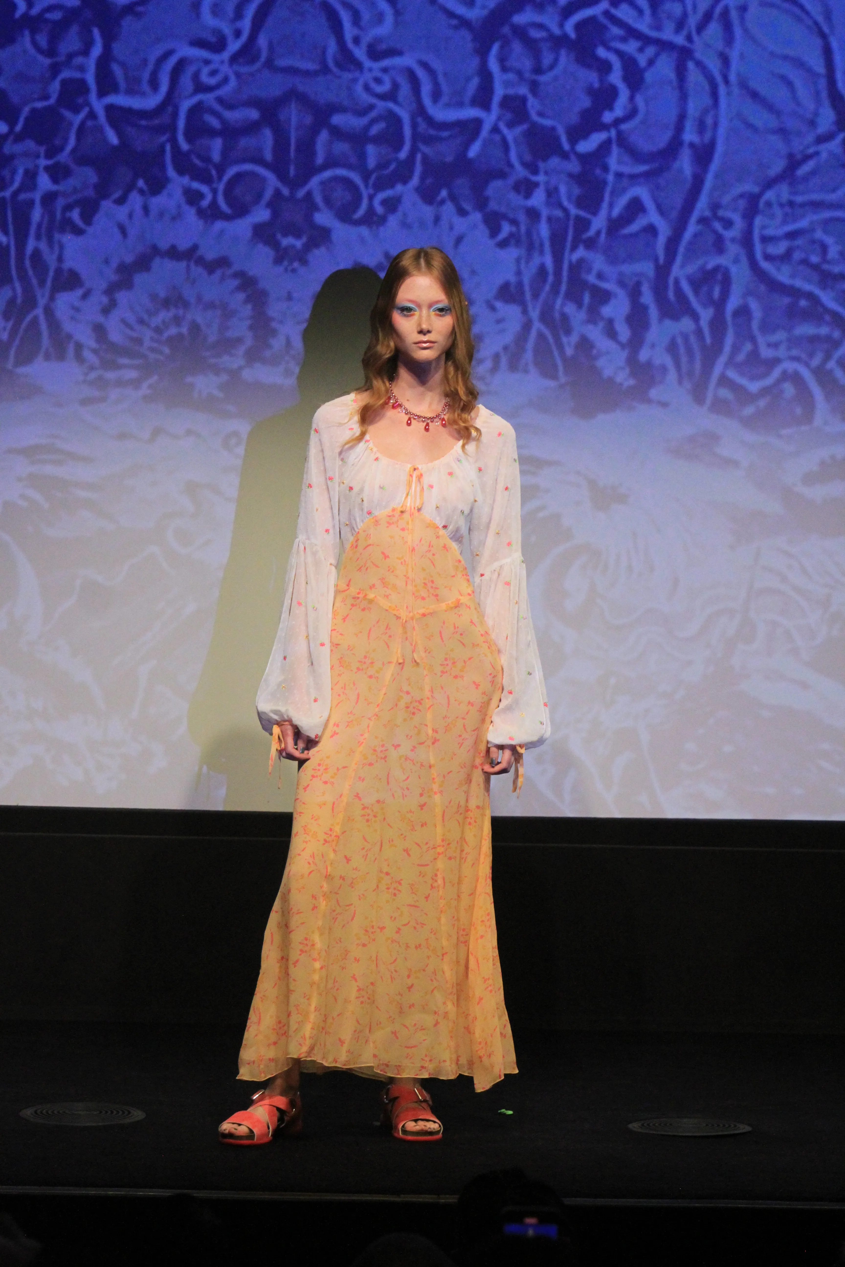 Floral Swiss Dot & Arcadia Blossom Princess Dress sold by Anna Sui product image thumbnail 5