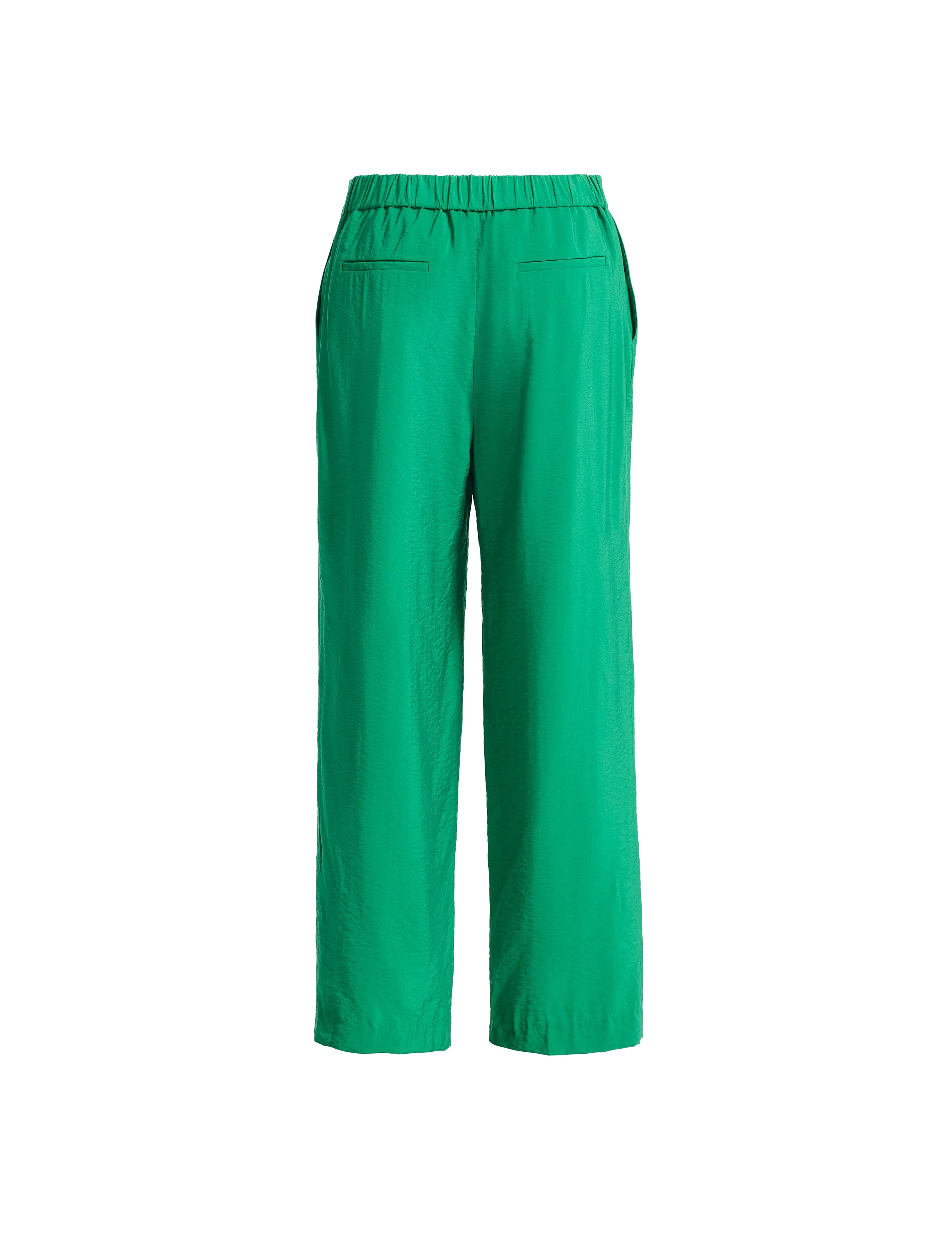 Pull-On Pleat Front Wide Leg Ankle Pant sold by Anne Klein product image thumbnail 2