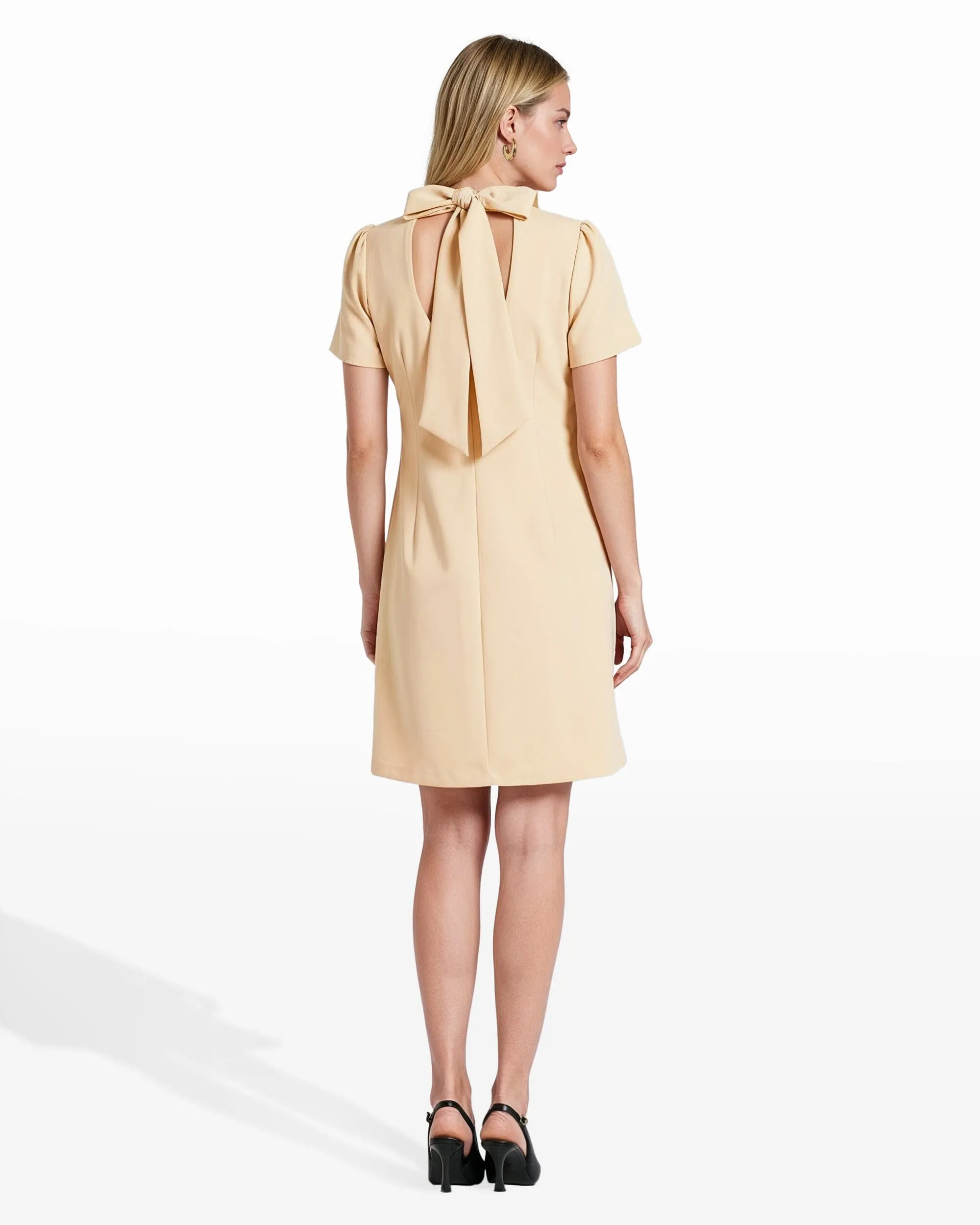 Petite Mock Neck Shift Dress sold by Anne Klein product image thumbnail 4