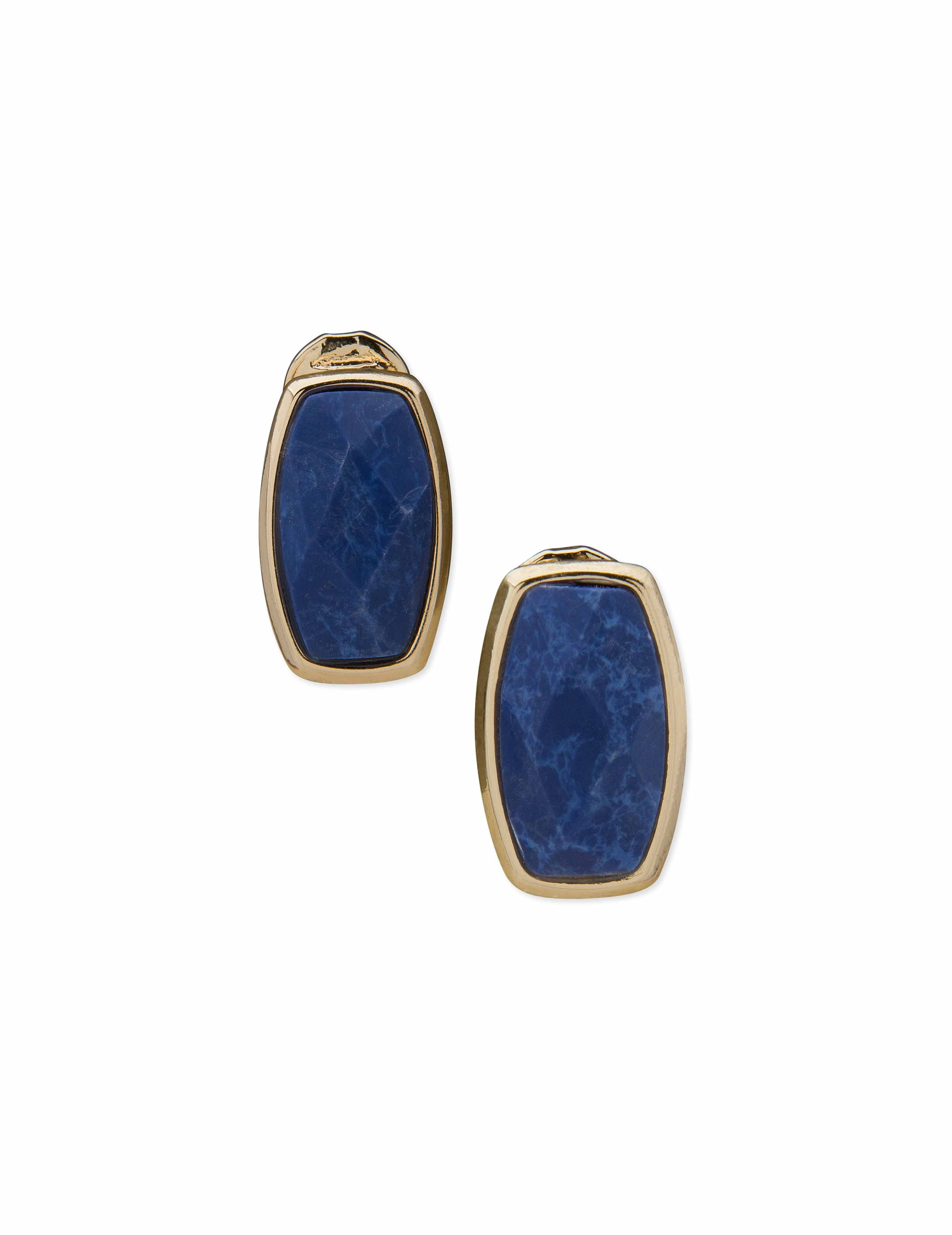 Sodalite Button Earrings sold by Anne Klein
