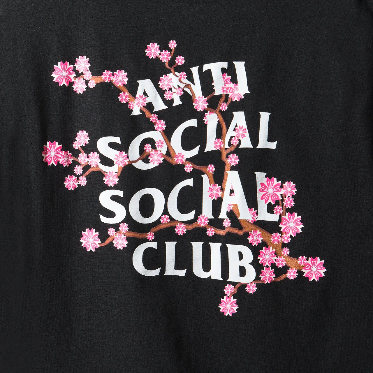 Cherry Blossum Black Tee sold by Anti Social Social Club product image thumbnail 3