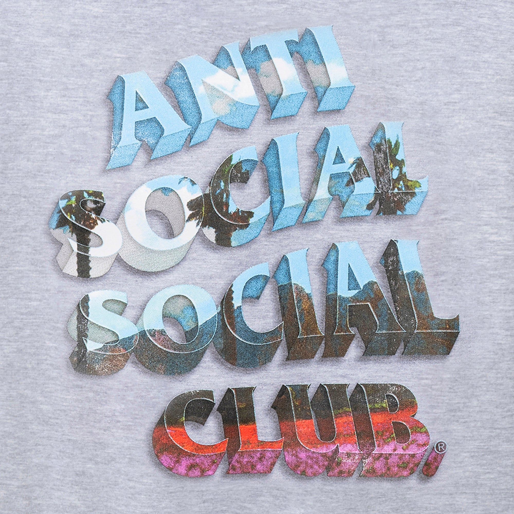 The Ride Home Hoodie - Athletic Heather sold by Anti Social Social Club product image thumbnail 2