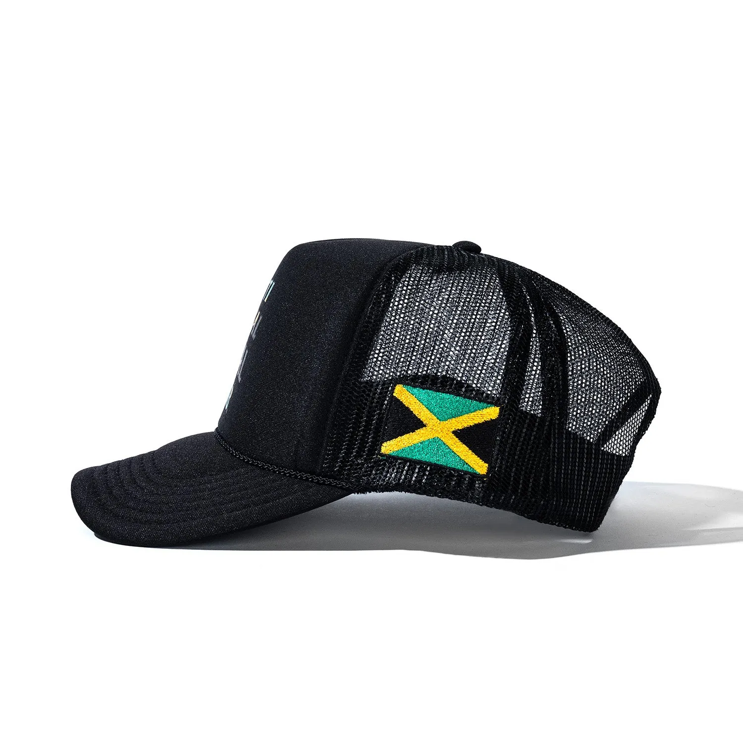 ASSC Team Jamaica Hat sold by Anti Social Social Club product image thumbnail 2