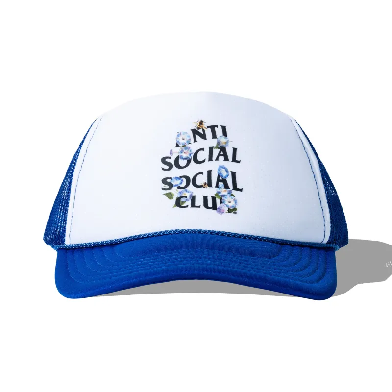 APIS MELLIFERA CAP made by Anti Social Social Club