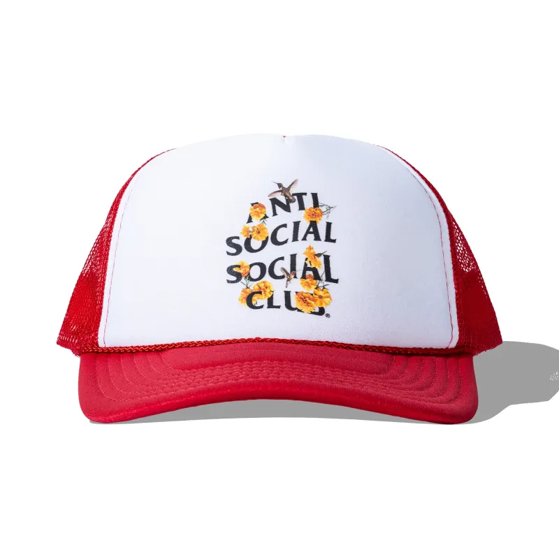 Trochilidae Cap made by Anti Social Social Club
