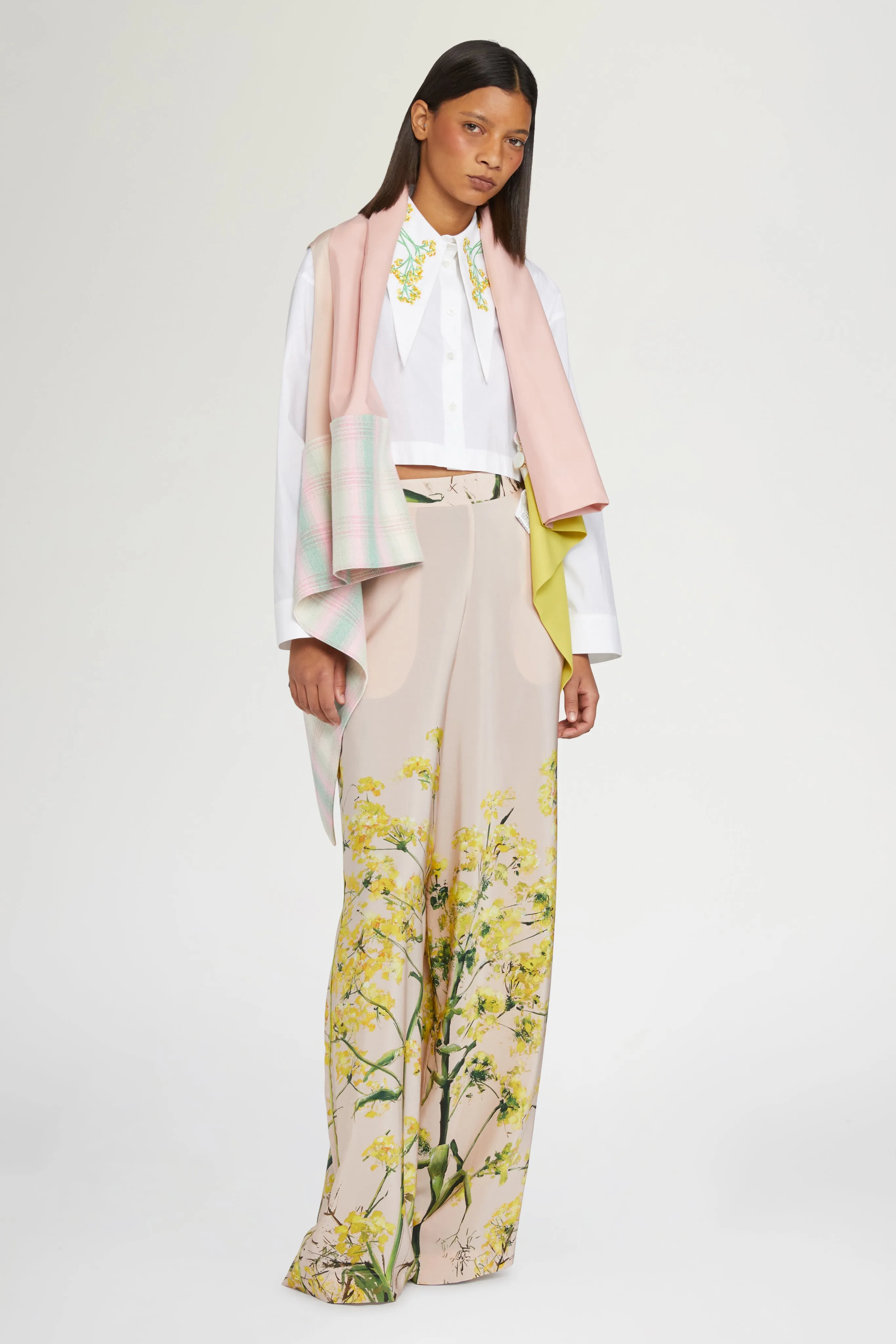 Begonia sold by Antonio Marras product image thumbnail 2