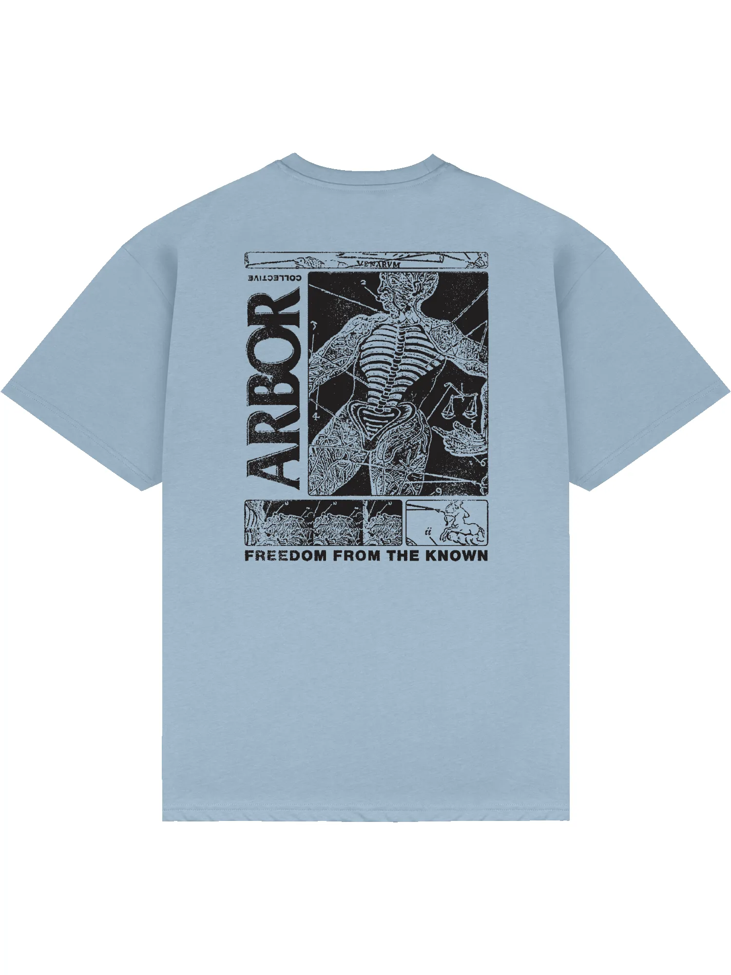 Anatomy T-Shirt - Sky Blue sold by Arbor