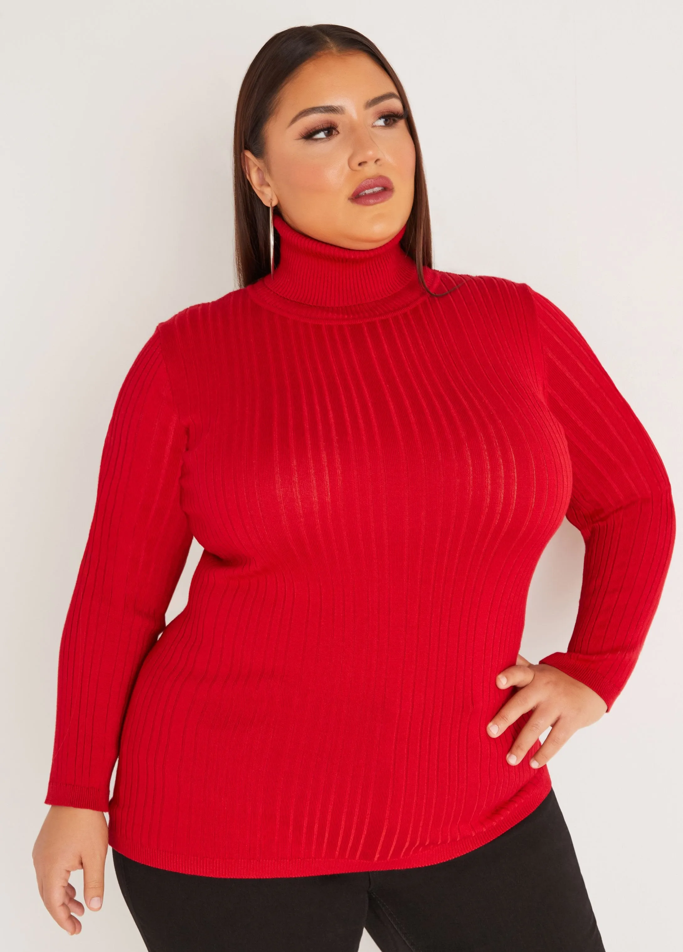 Turtleneck Pullover Sweater sold by Ashley Stewart product image thumbnail 4