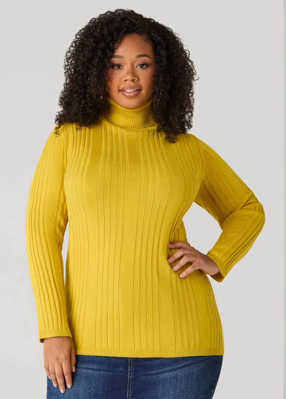 Pullover Turtleneck Sweater sold by Ashley Stewart