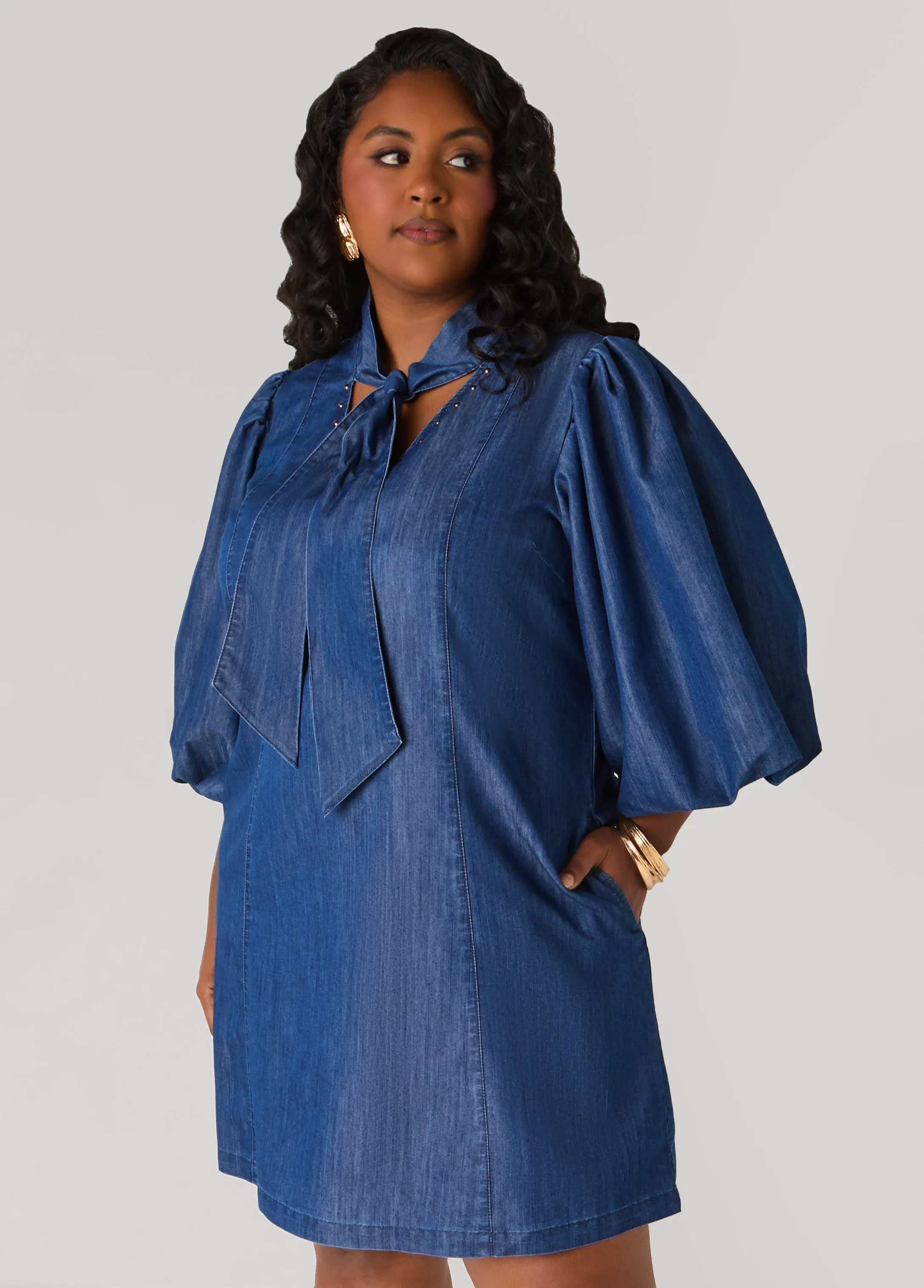 Studded Puff Sleeve Chambray Dress sold by Ashley Stewart product image thumbnail 5