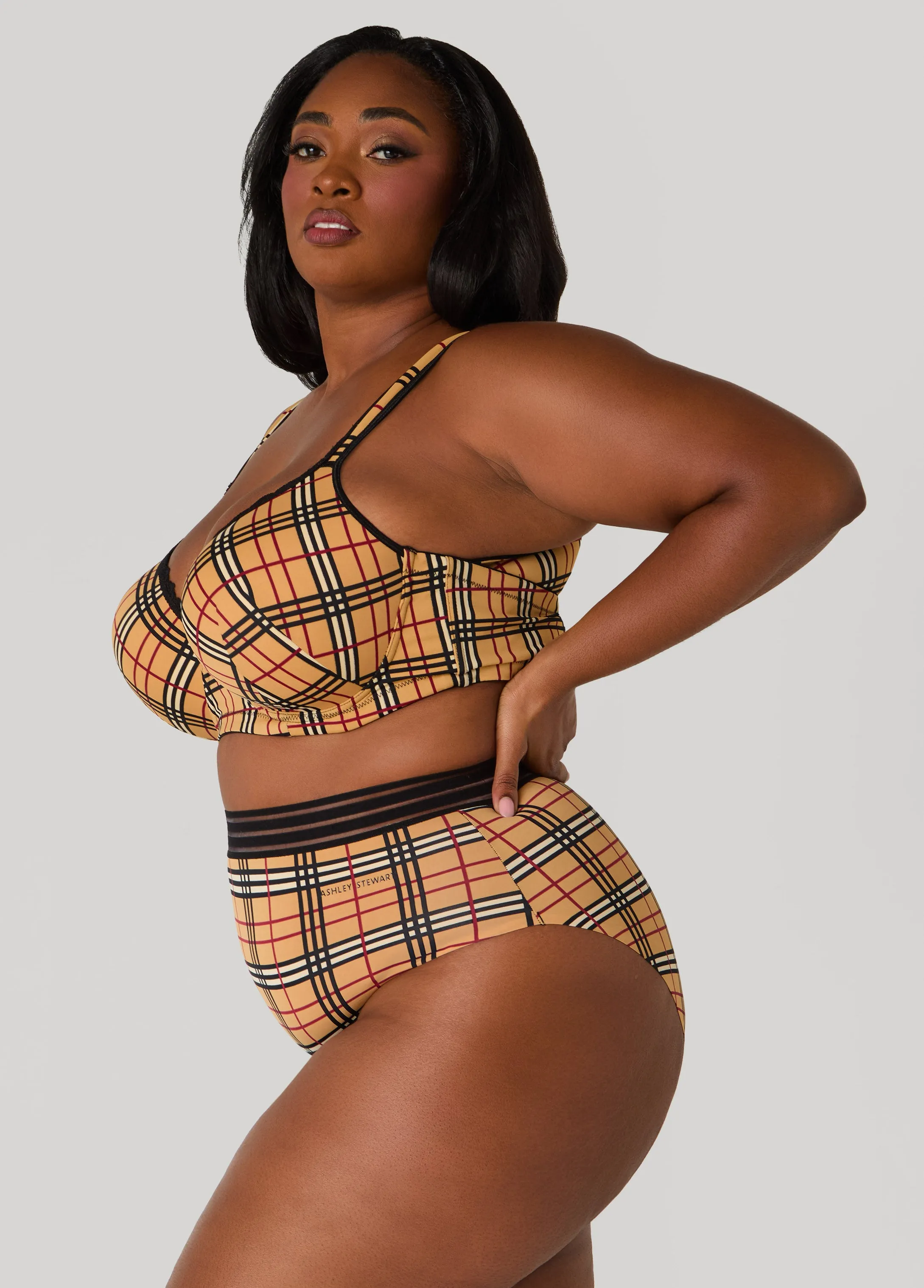 Plaid Sheer Waist Briefs sold by Ashley Stewart product image thumbnail 3