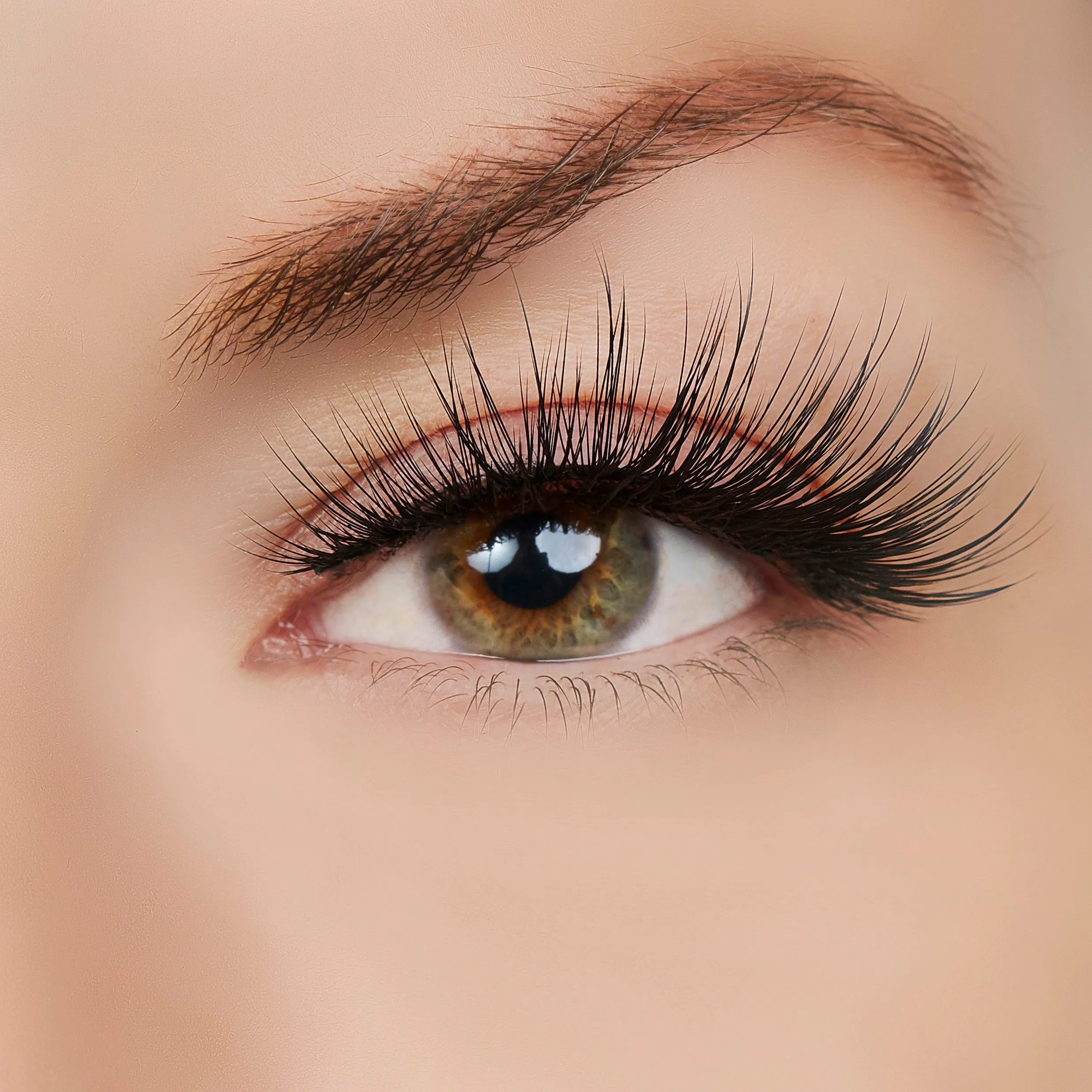 WOW! Woman Of Worth Lashes sold by Ashley Stewart product image thumbnail 2