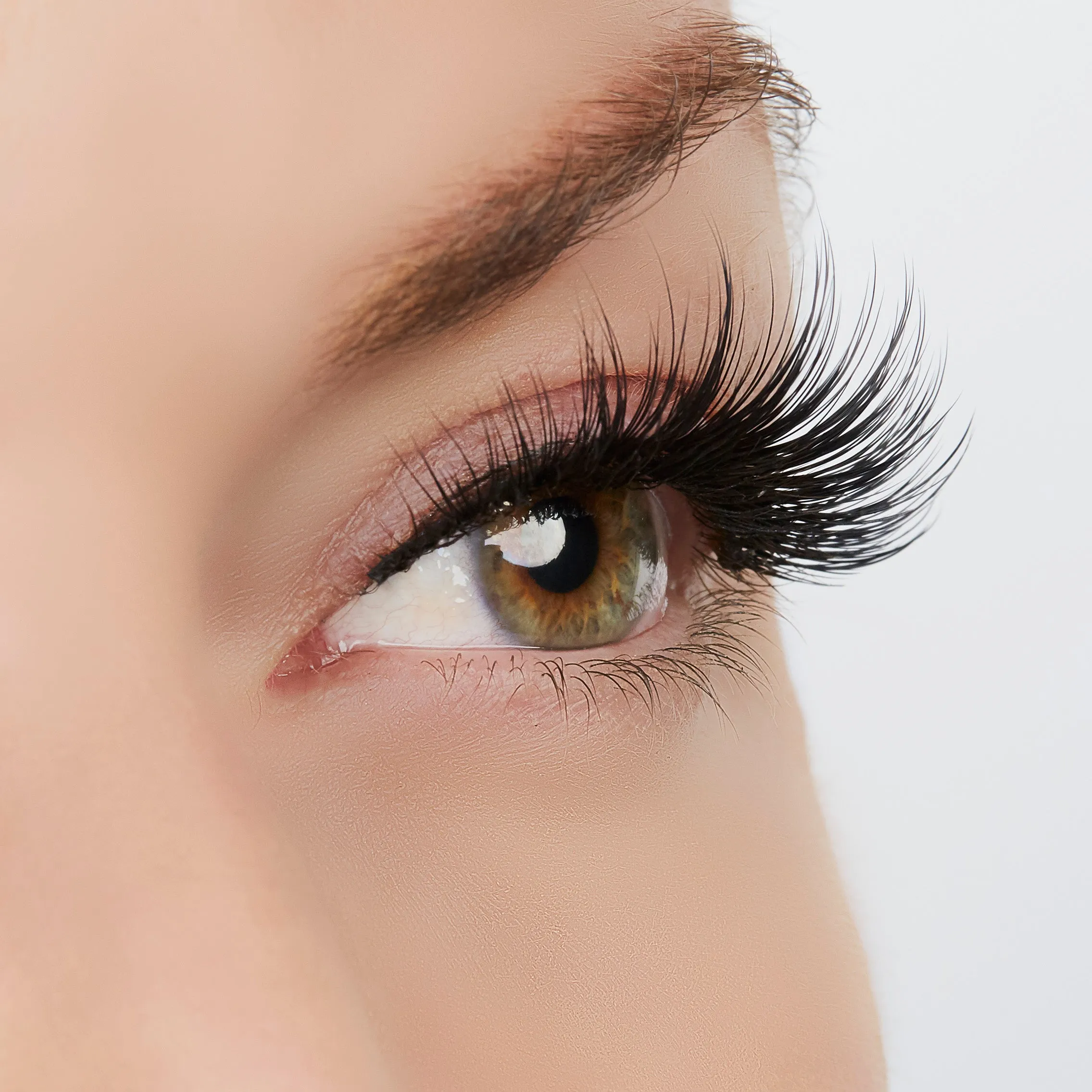 WOW! Woman Of Worth Lashes sold by Ashley Stewart product image thumbnail 3
