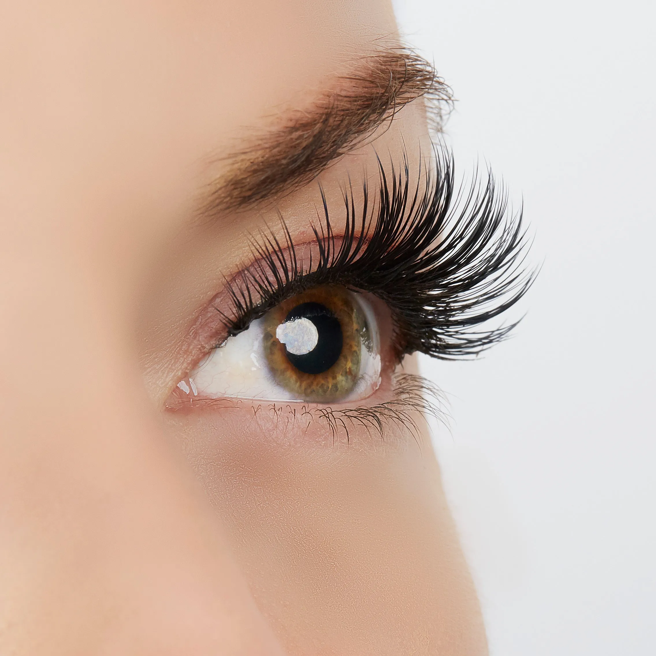 Timeless Beauty Lashes sold by Ashley Stewart product image thumbnail 3