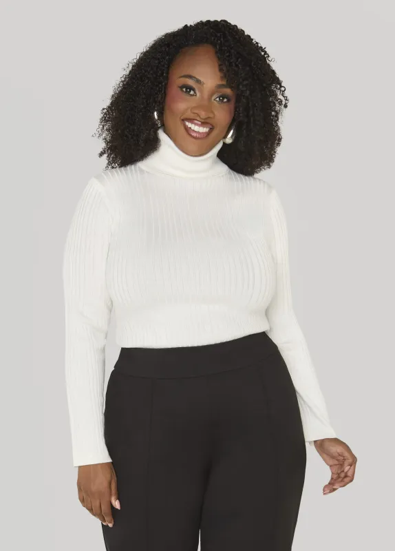 Ribbed Pullover Turtleneck Sweater made by Ashley Stewart