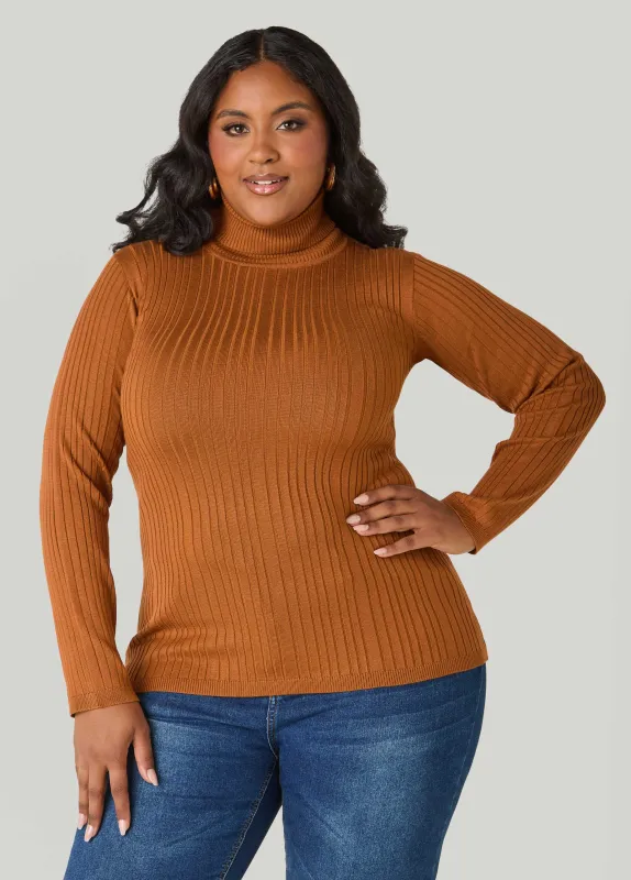 Turtleneck Pullover Sweater made by Ashley Stewart