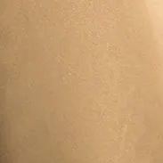 FIELD JACKET IN RASO BOMBER POLIAMMIDE IDROREPELLENTE - NOCCIOLA sold by Aspesi product image thumbnail 5