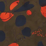 GONNA LONGUETTE IN POPELINE DI COTONE - FIORE POP sold by Aspesi product image thumbnail 3