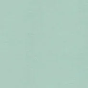 CAMICIA IN JERSEY VELLUTATO - MENTA sold by Aspesi product image thumbnail 5