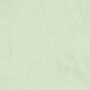 GIACCA CAMICIA IN TAFFETA TECNICO - LATTE MENTA sold by Aspesi product image thumbnail 5