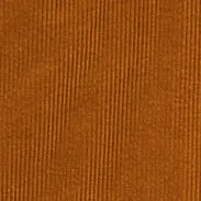CAPPOTTO IN VELLUTO A COSTE - BISCOTTO sold by Aspesi product image thumbnail 5