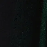 PANTALONE AMPIO IN VELLUTO LISCIO - VERDONE sold by Aspesi product image thumbnail 5