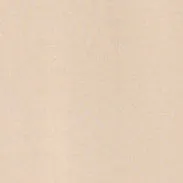 T-SHIRT GIROCOLLO IN FILATO DI PURO COTONE - SABBIA sold by Aspesi product image thumbnail 5